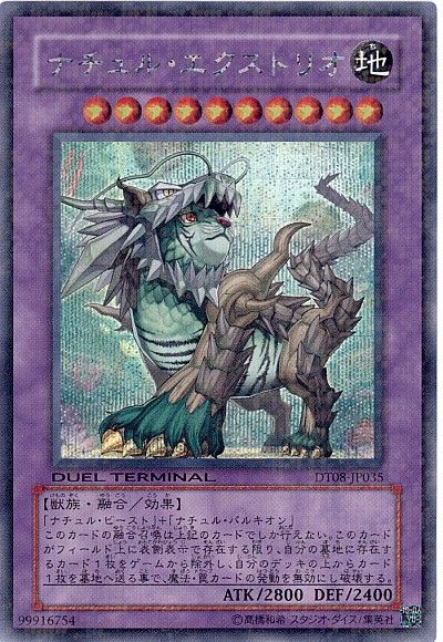 ナチュルエクストリオ【SE】〈DT08-JP035〉