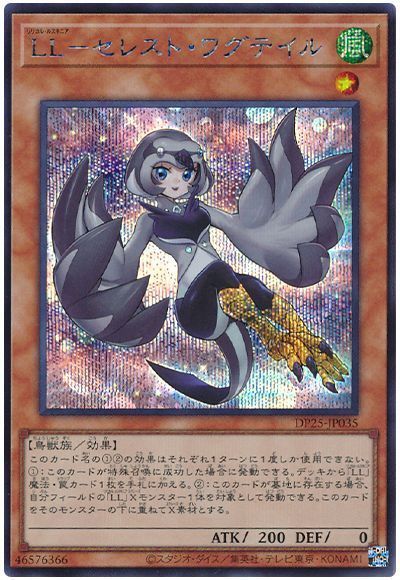 【SALE】【状態B】LLセレストワグテイル【SE】〈DP25-JP035〉