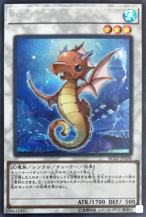 【状態B】たつのこ【SE】〈RC02-JP028〉