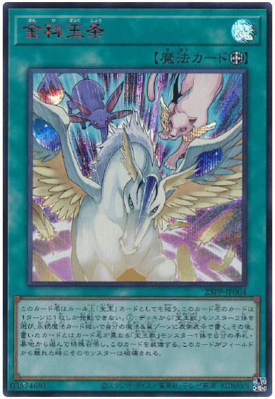 【状態B】金科玉条【RedSE】〈23PP-JP004〉