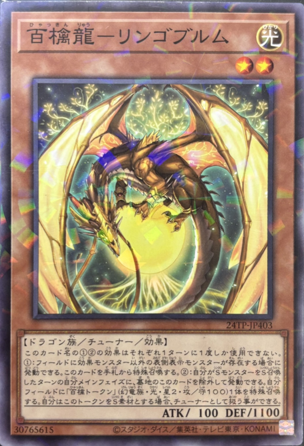 百檎龍リンゴブルム【N+P】〈24TP-JP403〉