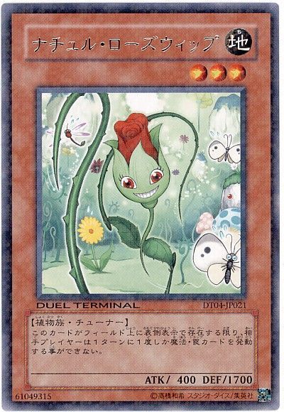 【状態C】ナチュルローズウィップ【R】〈DT04-JP021〉