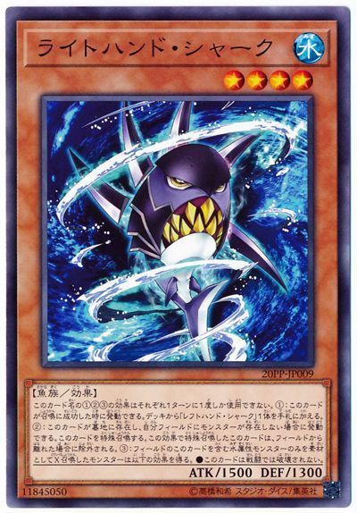 ライトハンドシャーク【N】〈20PP-JP009〉