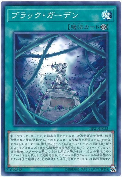 ブラックガーデン【N】〈DP21-JP032〉