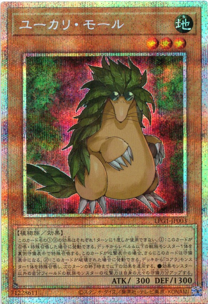 【SALE】ユーカリモール【PSE】〈LPG1-JP003〉