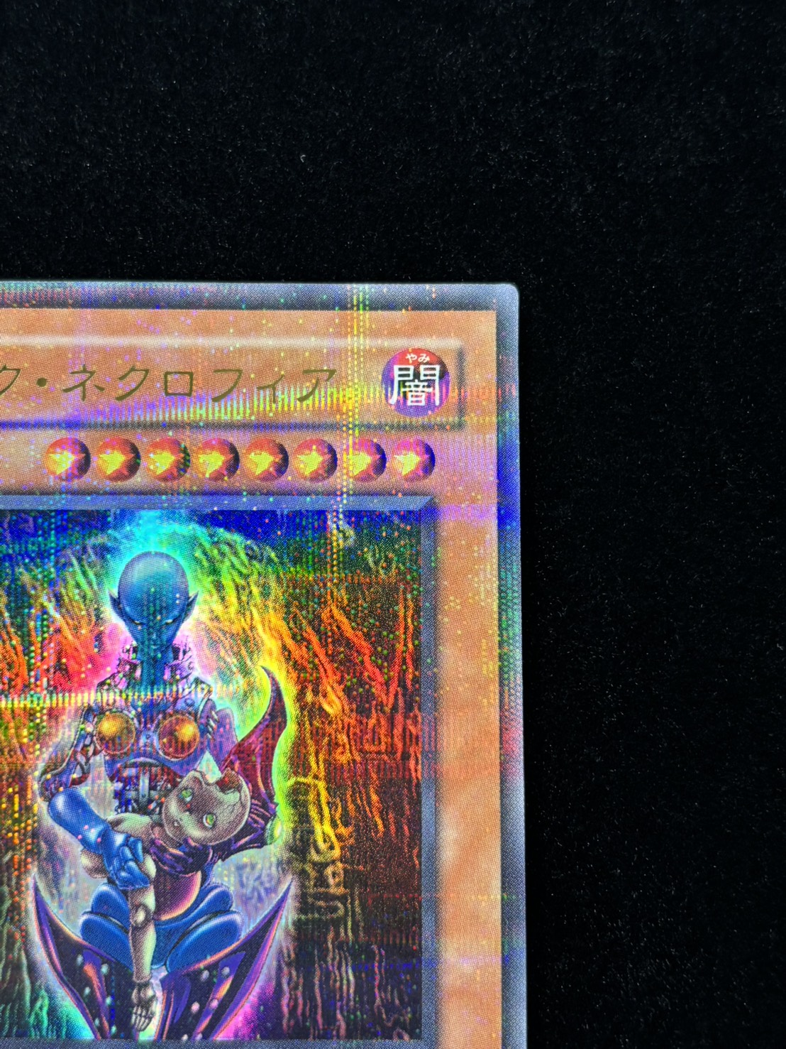 【状態B+】●ダークネクロフィア(DL3-097)(UR+PA)
