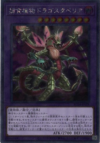 【状態B】捕食植物ドラゴスタペリア【EXSE】〈RC04-JP028〉