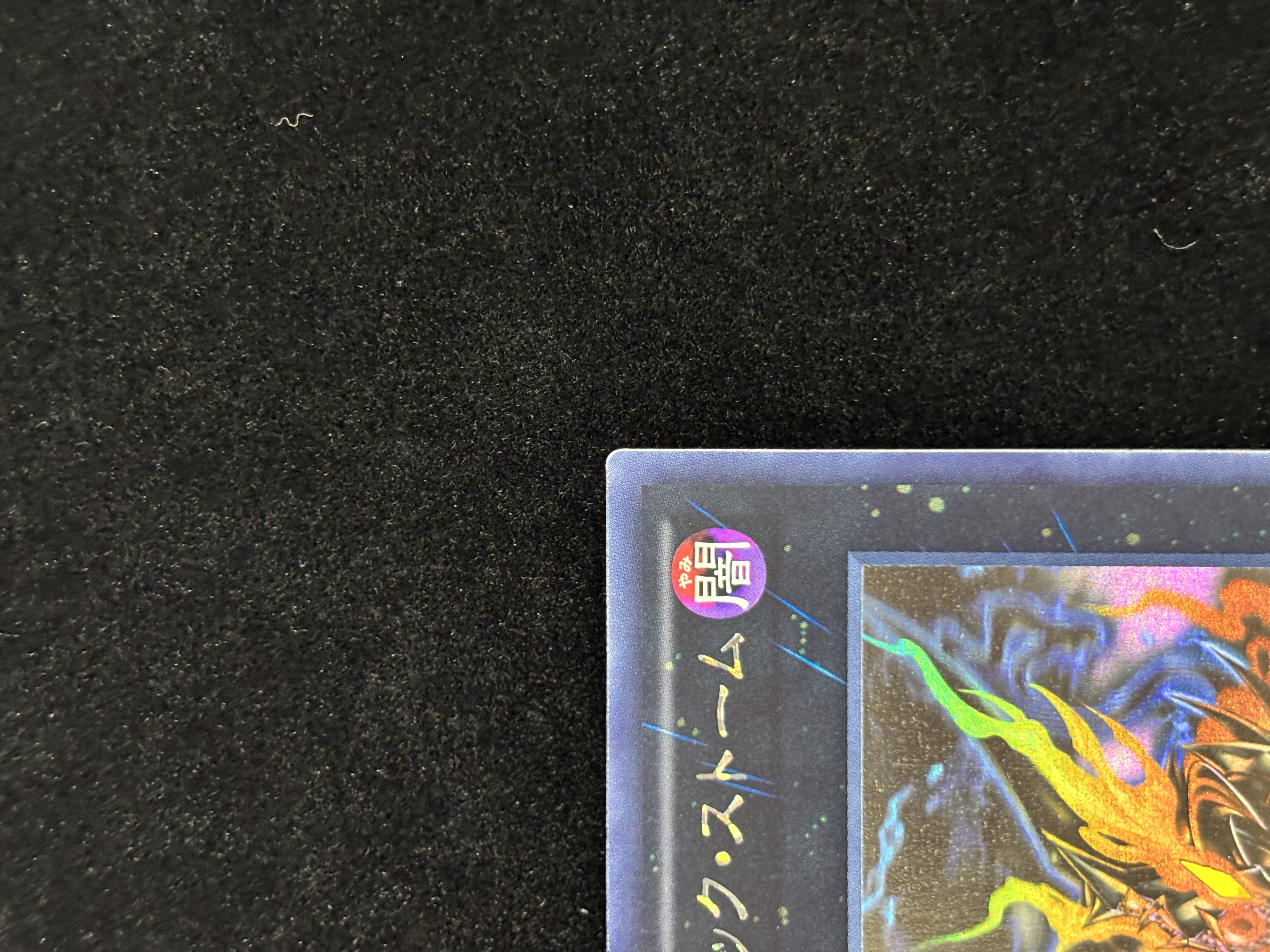 【状態C】●CNo96ブラックストーム(HR)(SHSP-JP046)