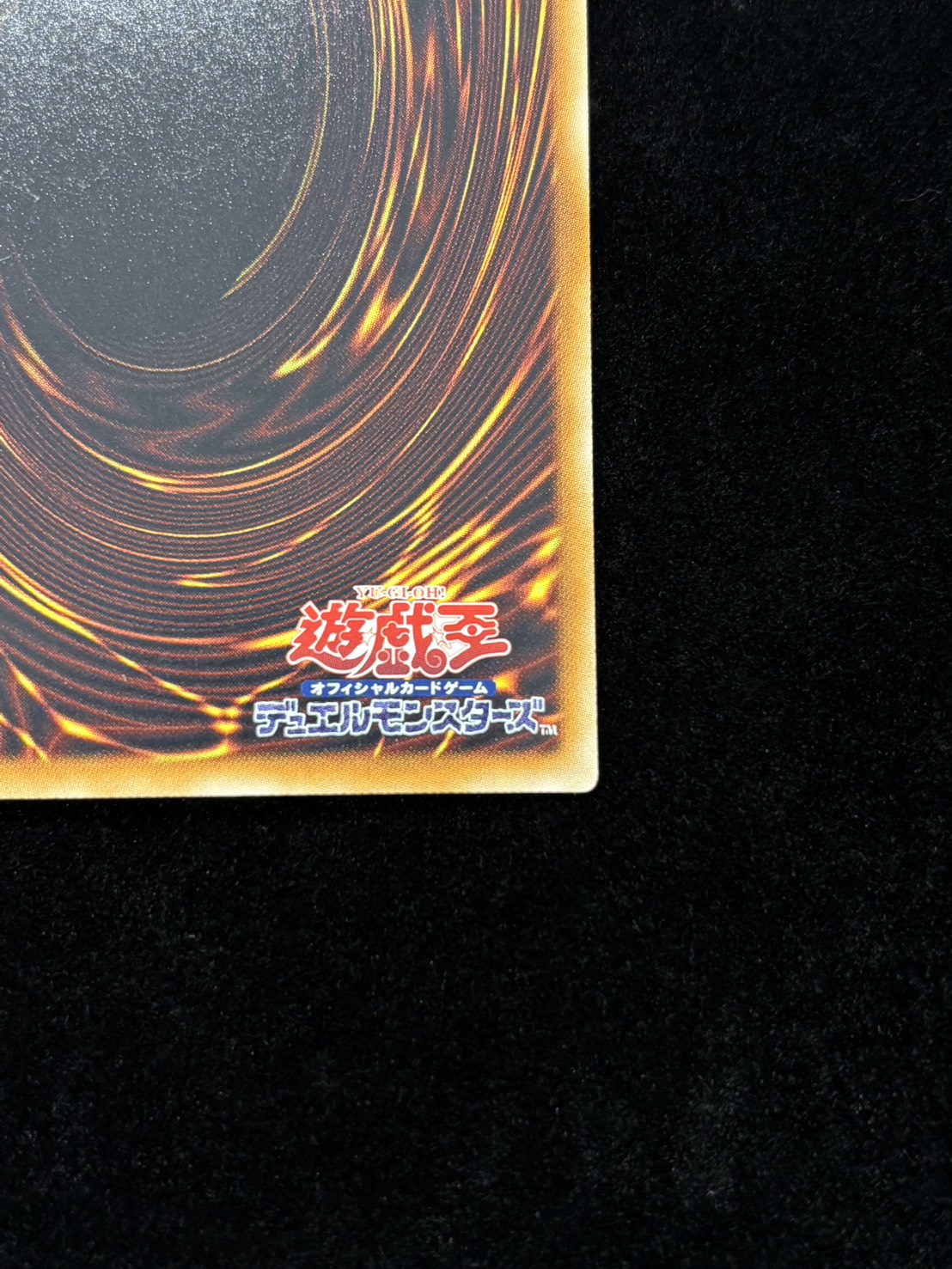 【状態C】●CNo96ブラックストーム(HR)(SHSP-JP046)