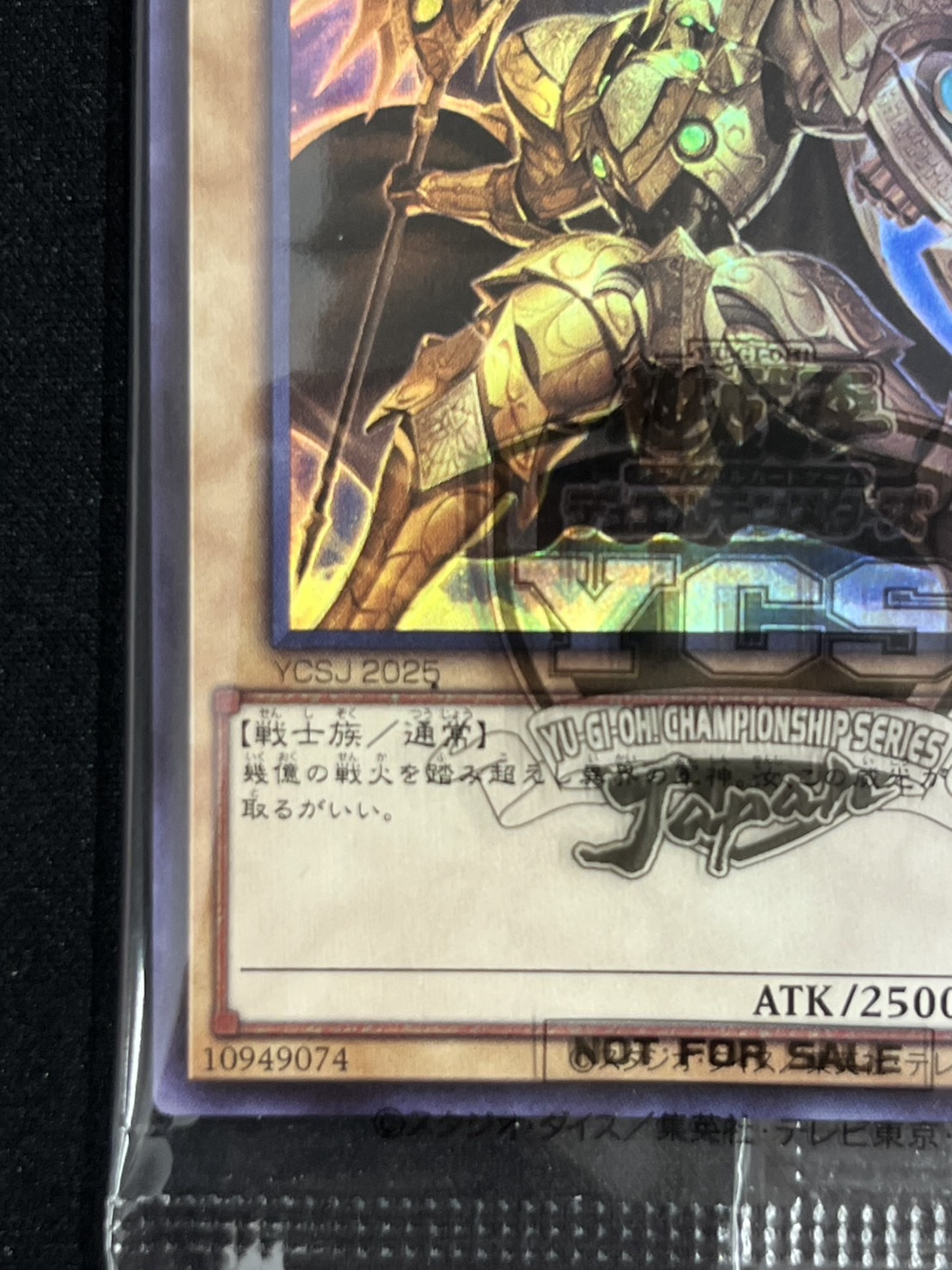 (未開封)YCSJ2025 アナザー･バース･ストラディオス〈25YC-JP001〉