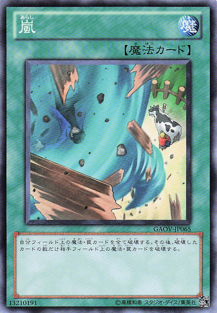 嵐【N】〈GAOV-JP065〉