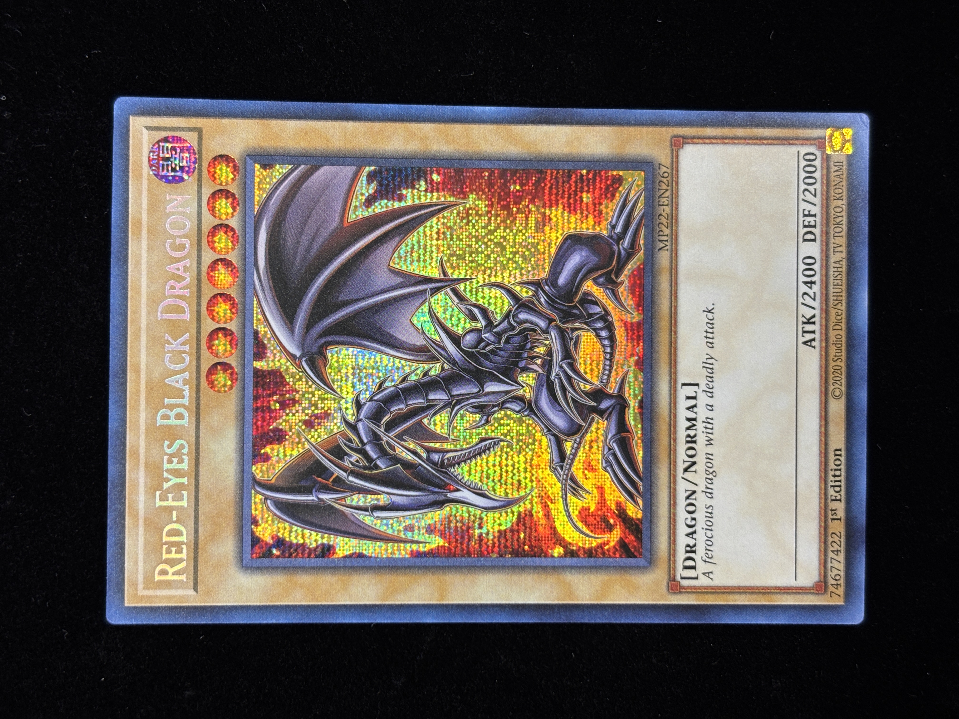 【状態C】●RED-EYES BLACK DRAGON(MP22-EN267)(PSE)