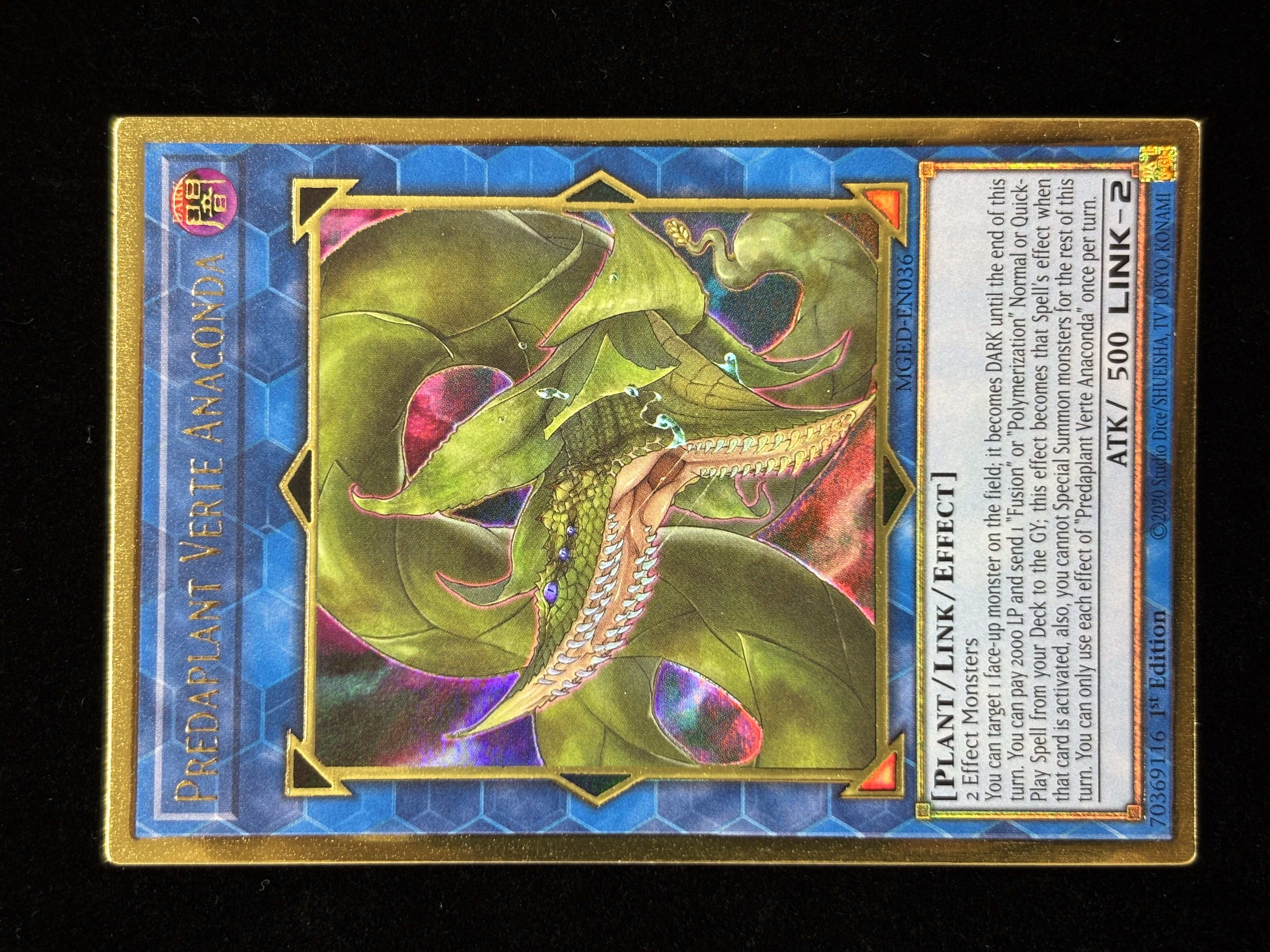 【状態B】●PREDAPLANT VERTE ANACONDA(MGED-EN036)(PGR)