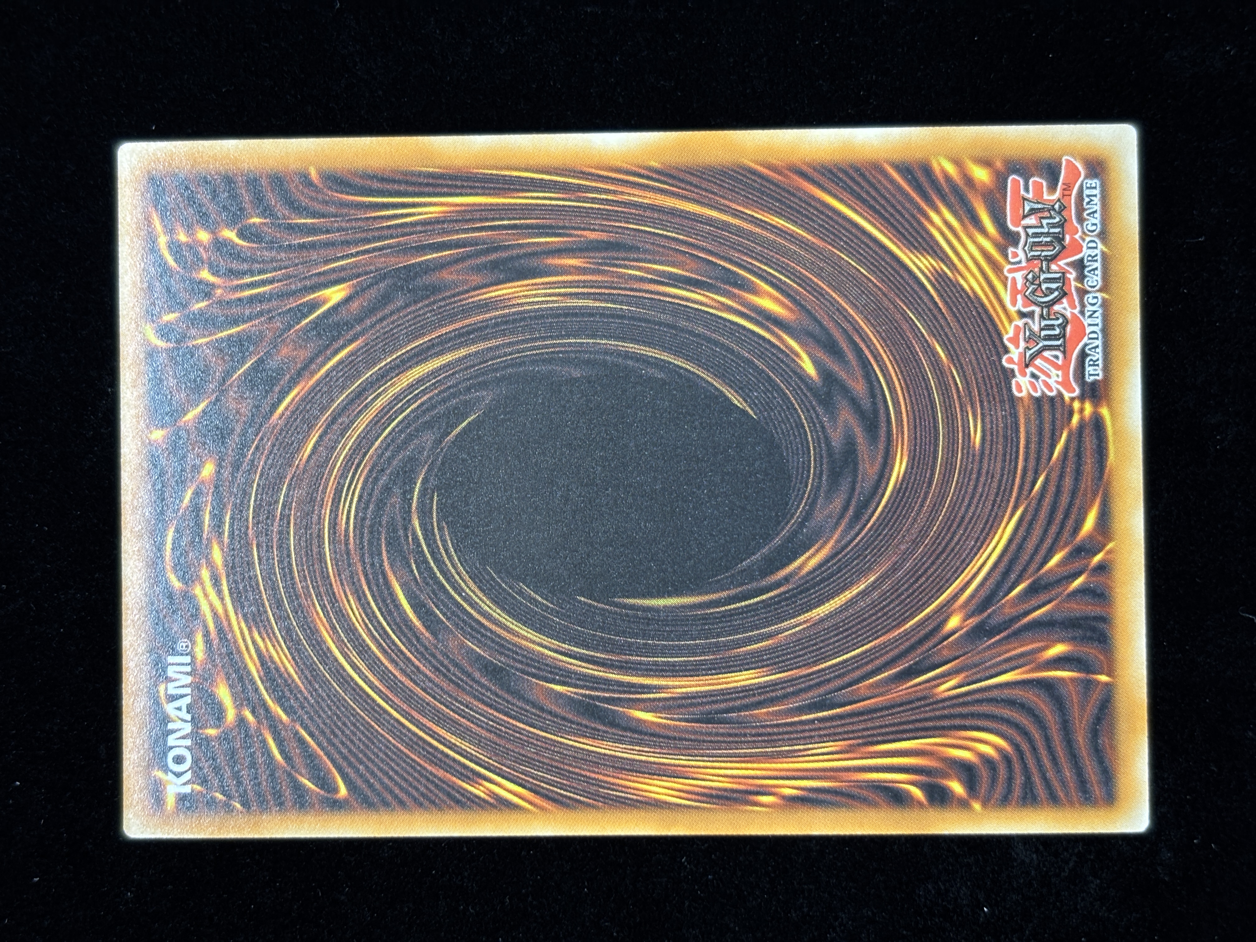 【状態B】●SALAMANGREAT GAZELLE(MP24-EN049)(QCSE)