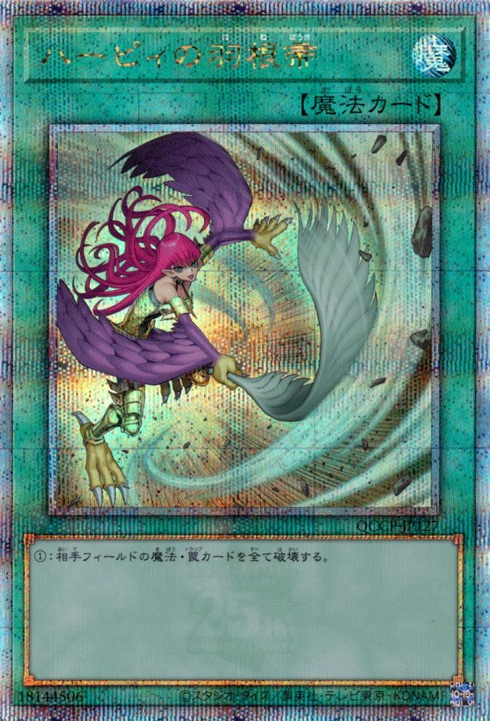 【状態B】(新)ハーピィの羽根帚【QCSE】〈QCCP-JP127〉