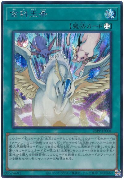 【状態B】金科玉条【SE】〈23PP-JP004〉