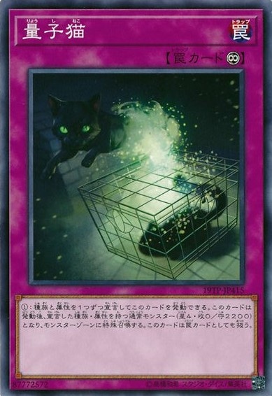 量子猫【N】〈19TP-JP415〉