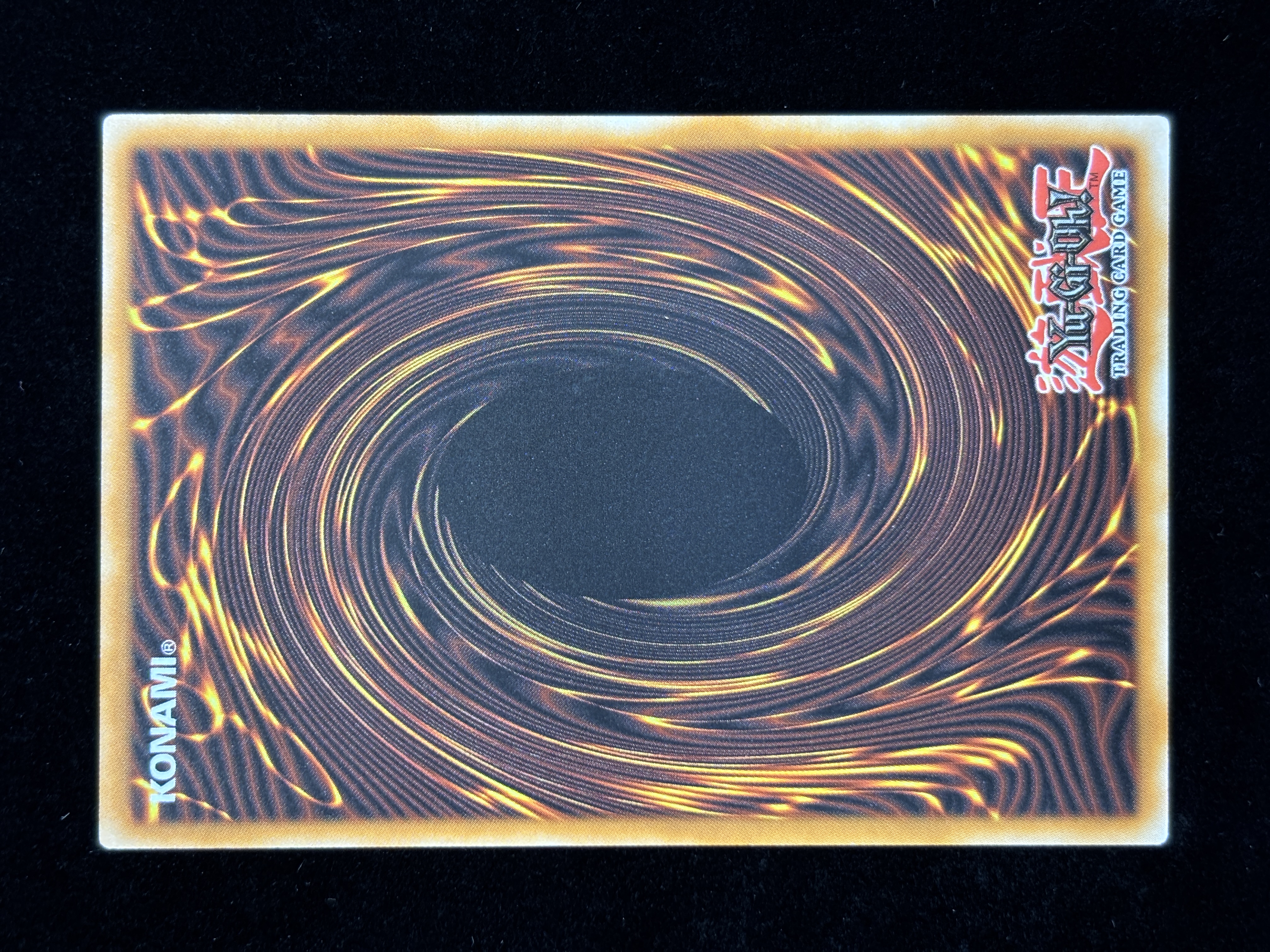【状態B】●BLACK ROSE DRAGON(TN23-EN014)(QCSE)
