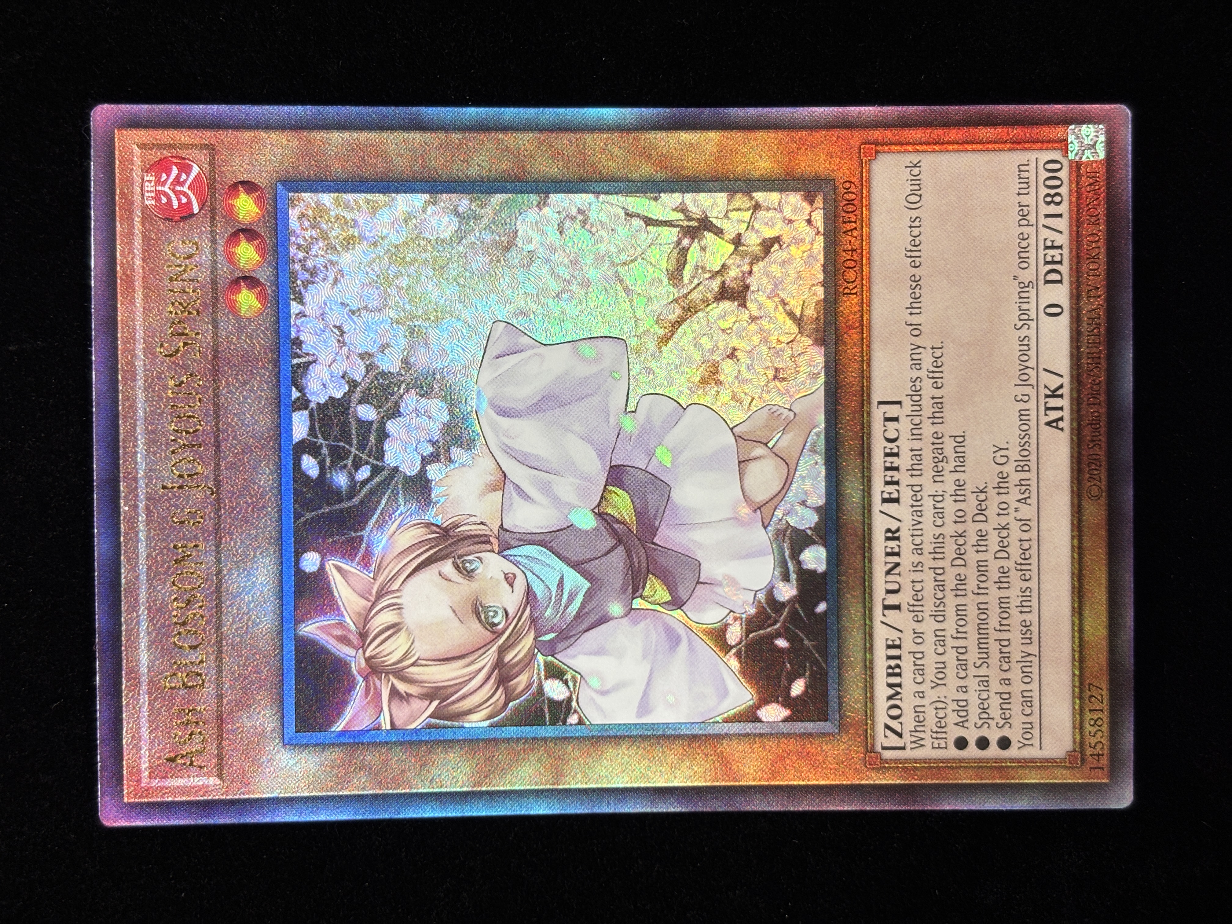【状態B】●ASH BLOSSOM&JOYOUS SPRING(RC04-AE009)A