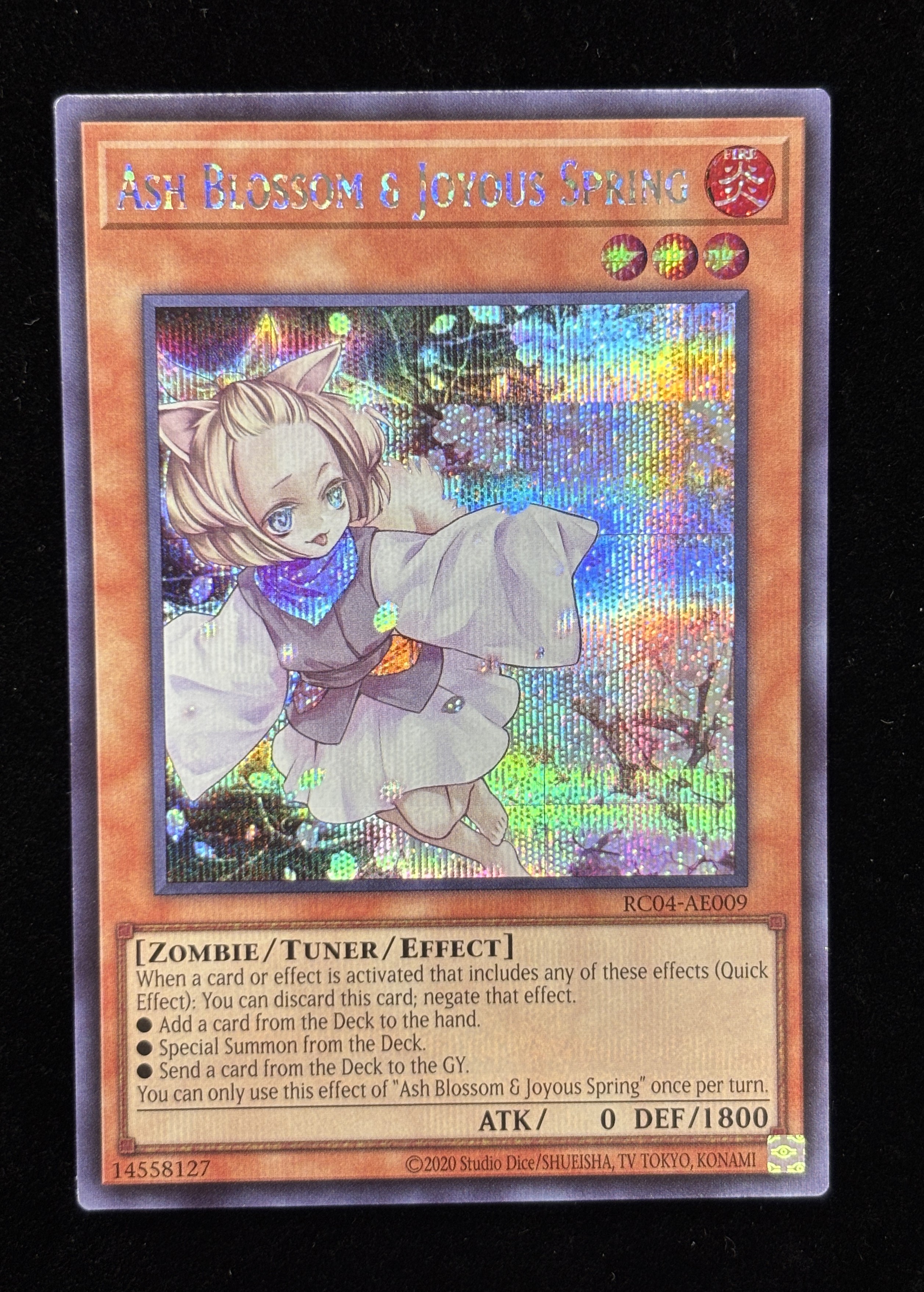 【状態B】●ASH BLOSSOM&JOYOUS SPRING(RC04-AE009)(SE)
