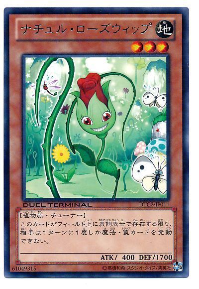 ナチュルローズウィップ【R】〈DTC2-JP011〉