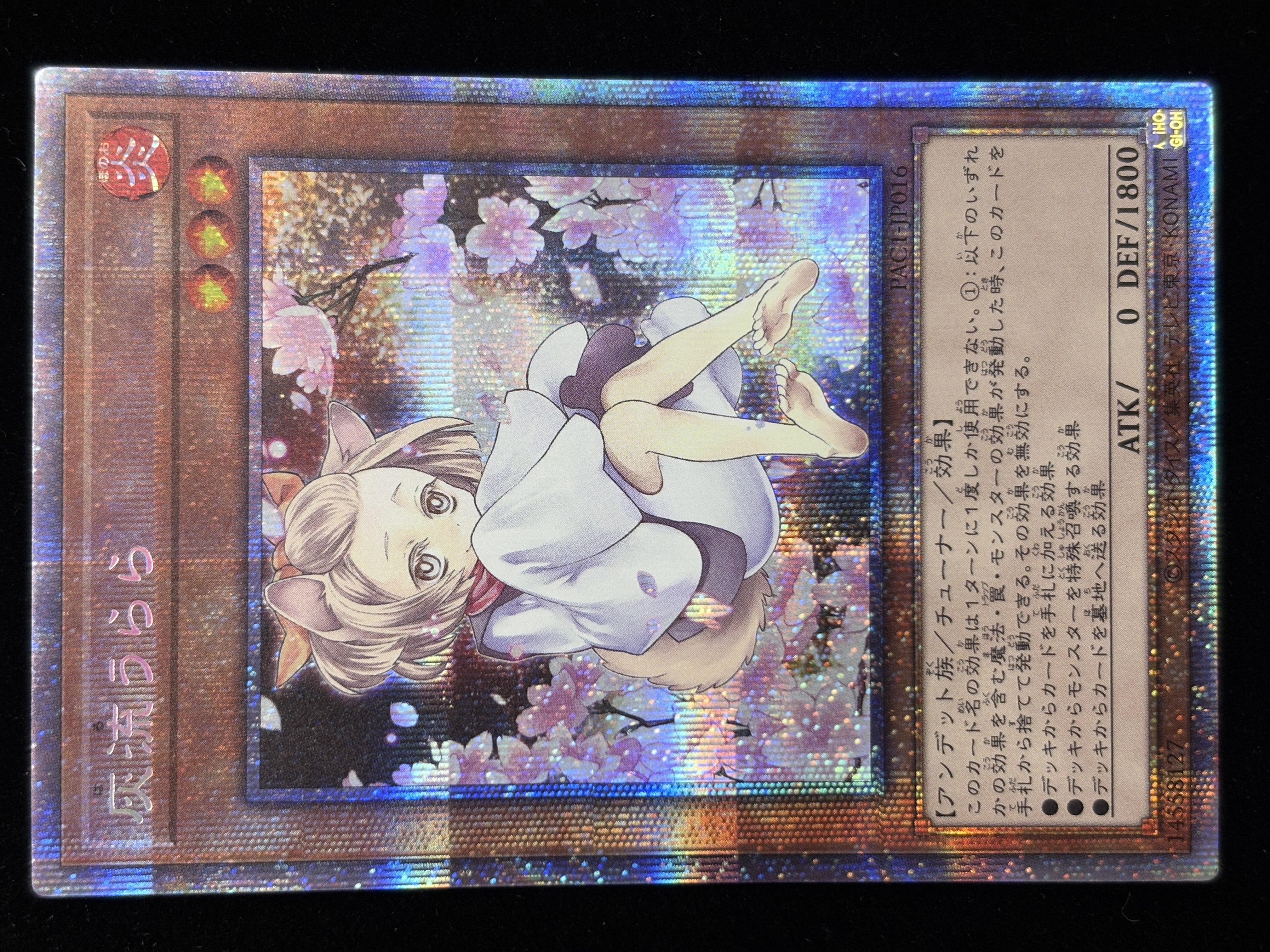 【状態B】(新)灰流うらら【PSE】〈PAC1-JP016〉