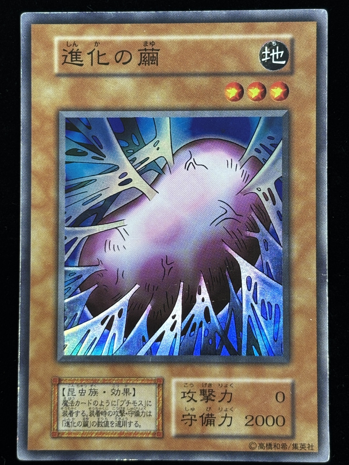 【状態C-】●進化の繭