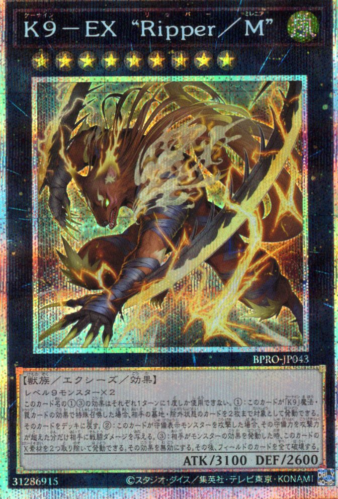 【状態B】K9EXRipper/M【PSE】〈BPRO-JP043〉