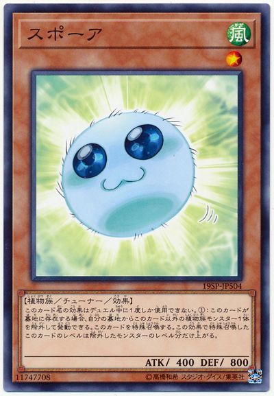 【状態B】スポーア【N】〈19SP-JP504〉