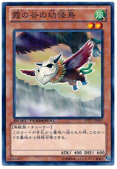 【状態C】霞の谷の幼怪鳥【N】〈DTC1-JP069〉