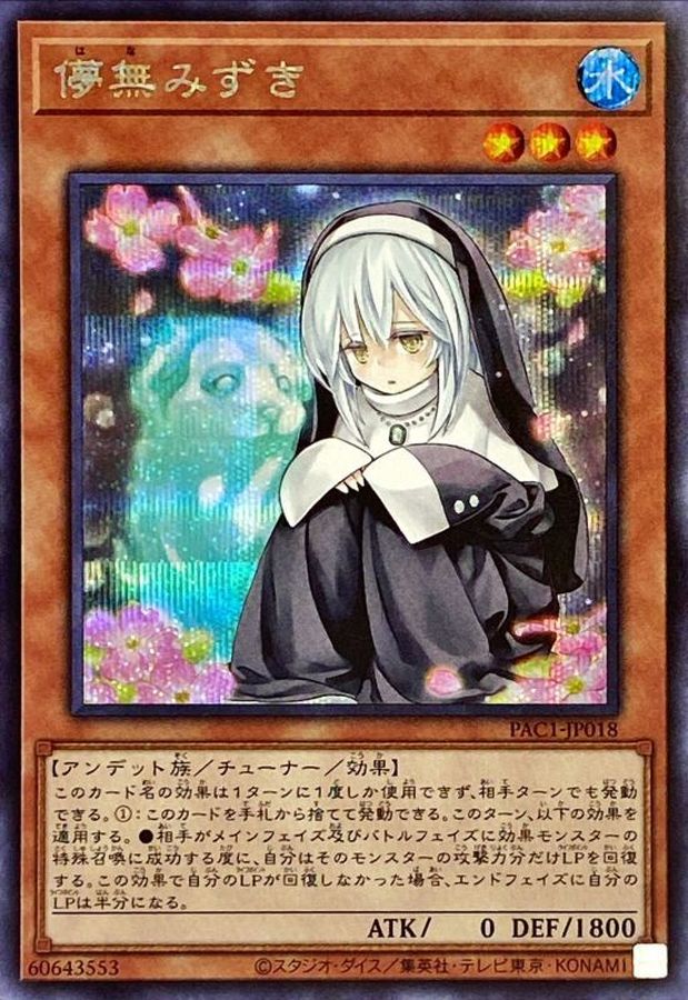 儚無みずき【SE】〈PAC1-JP018〉