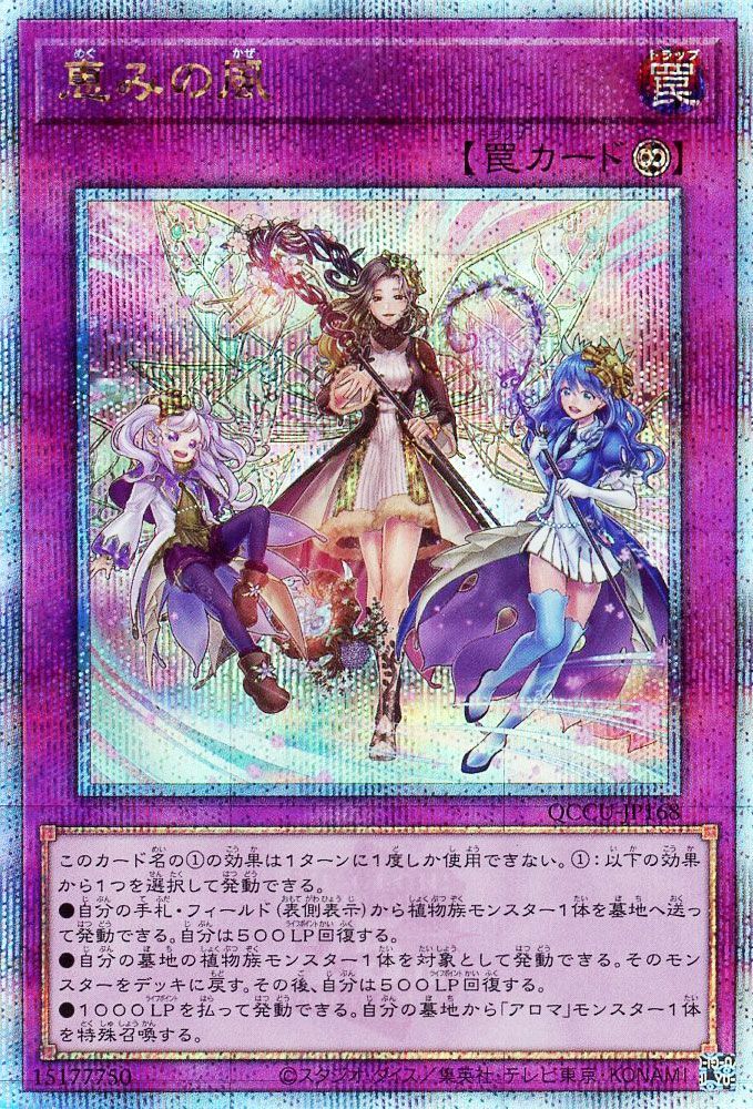 【状態B】恵みの風【QCSE】〈QCCU-JP168〉