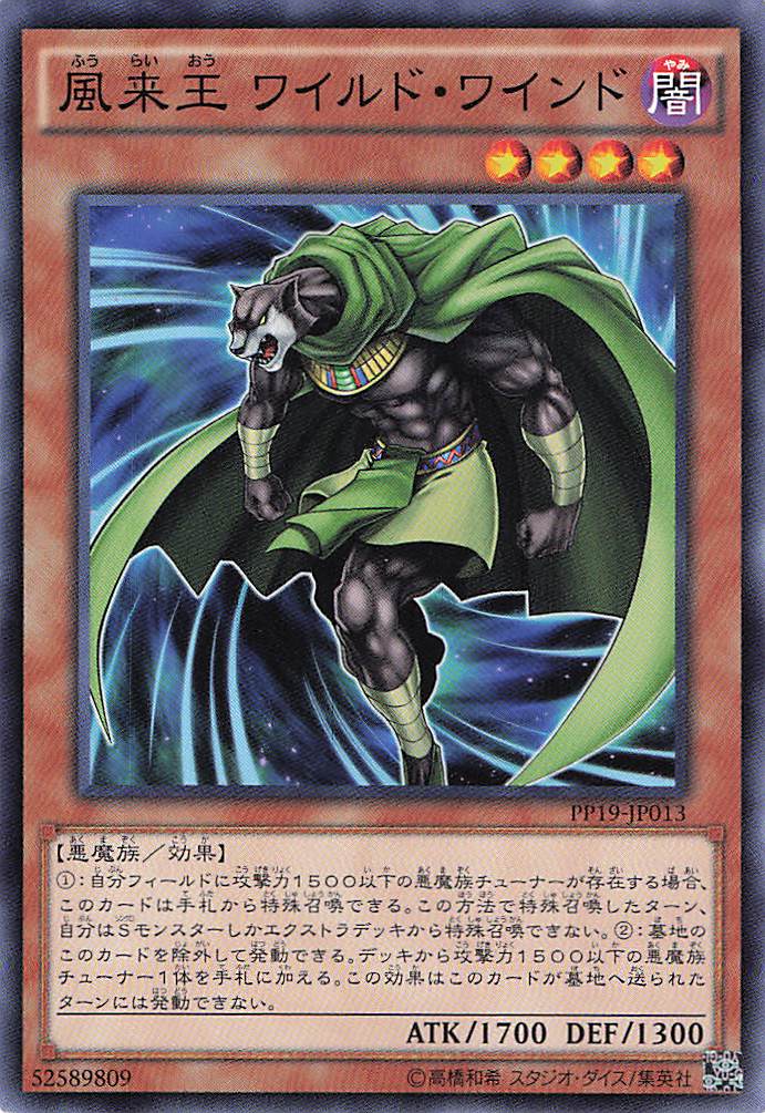 風来王ワイルドワインド【N】〈PP19-JP013〉