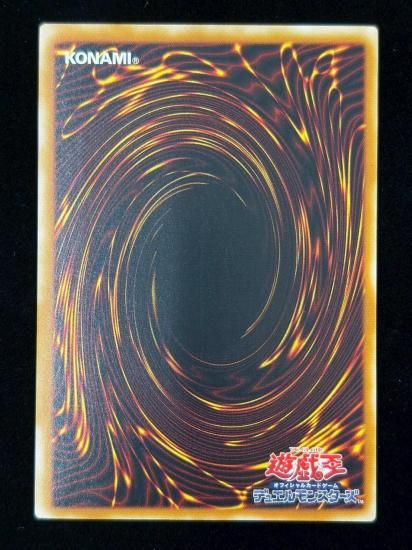 【状態B+】●カオス・ソルジャー(304-054)