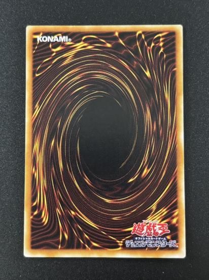 【状態B-】●超魔導剣士－ブラック・パラディン(303-051)