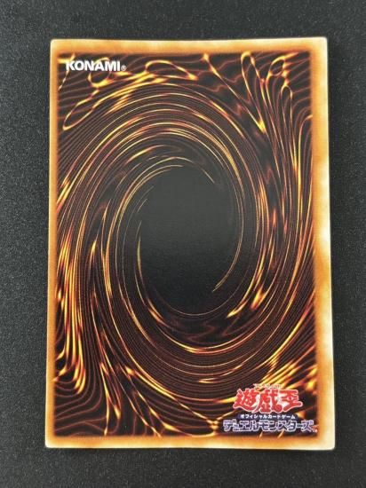 【状態B】●青眼の白龍