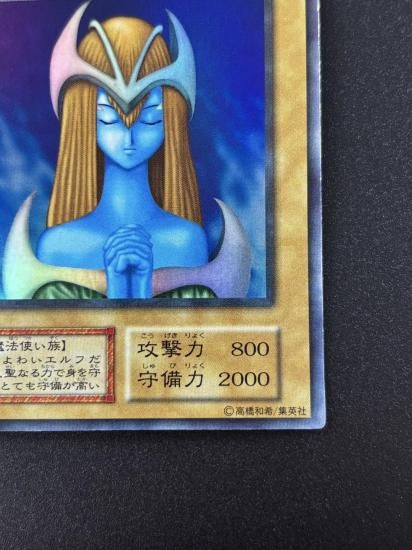 【状態B】●ホーリー・エルフ