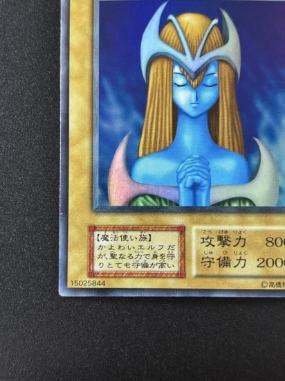 【状態B】●ホーリー・エルフ