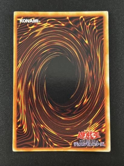 【状態B】●ホーリー・エルフ