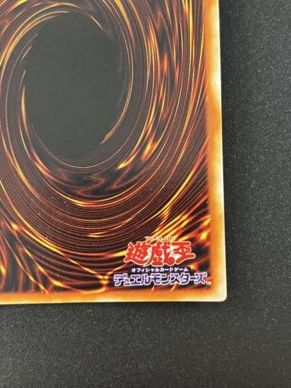 【状態B】●ホーリー・エルフ