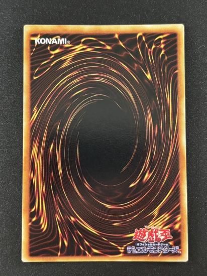 【状態B】●エルフの剣士