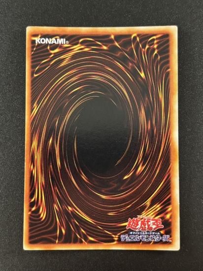 【状態B】●カース・オブ・ドラゴン