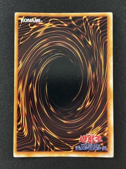 【状態B】●トビペンギン