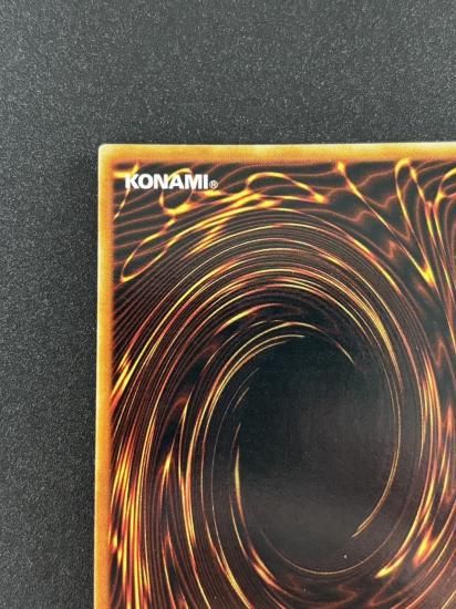 【状態B】●ヤランゾ