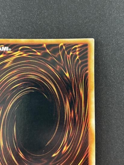 【状態B】●ヤランゾ