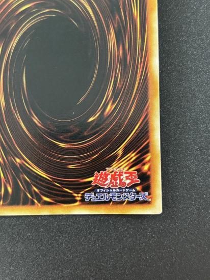 【状態B】●ヤランゾ