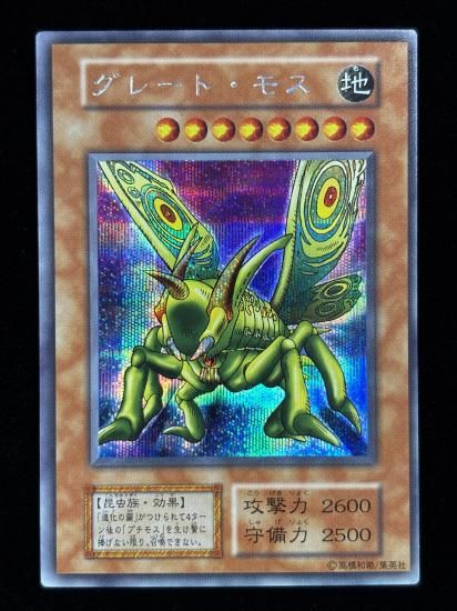 【状態B】●グレート・モス