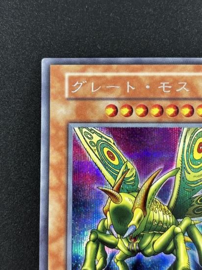 【状態B】●グレート・モス