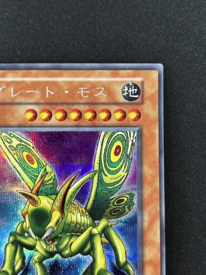 【状態B】●グレート・モス