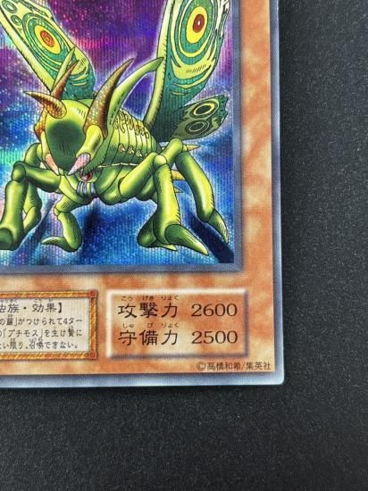 【状態B】●グレート・モス